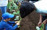 DSC_0163 - コピー.jpg
