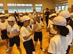 IMG_7497.jpg