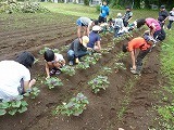 P1020011.jpg