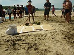 P1020172.jpg